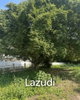 listing thumbnail image 21