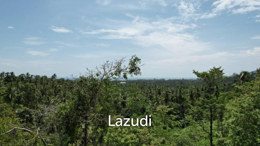 picture 2 Rai Seaview Land Plot for Sale in Lipa Noi - 3/6