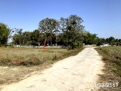 ขายที่ดิน : ที่ดินว่างเปล่า 693 ตร.วา เมืองพะเยา พะเยา 696,000