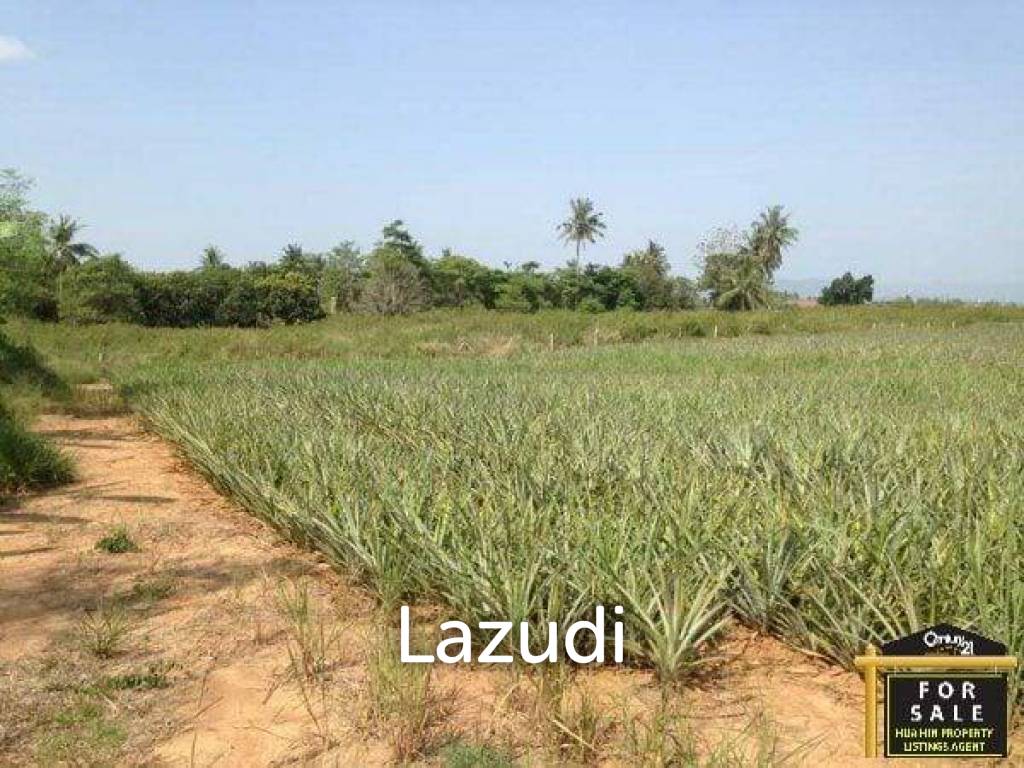 รูป Lovely Land near Main Road with Great Views - รูปที่ 1/7
