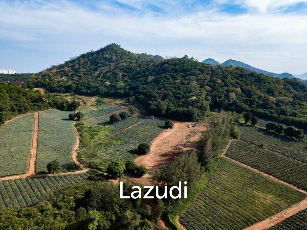 รูป 4 Beautiful Land Plots ranging from 4.5M - 5.5M with sea and Mountain views - รูปที่ 3/5