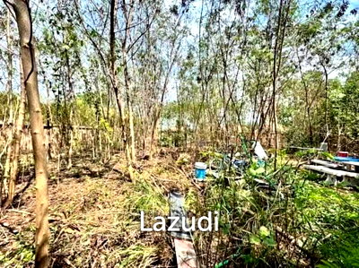 Land for sale Chonburi : Prime Land Plot 207 Sq. Wah Near Mabprachan Lake