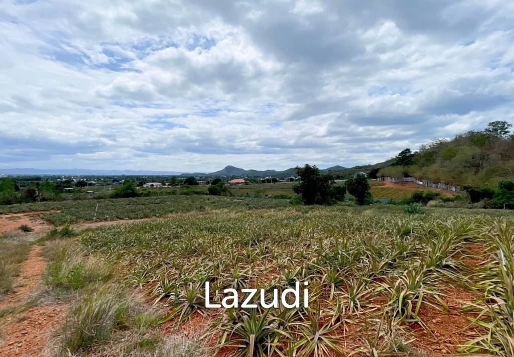 รูป Hillside Land For Sale With Stunning Views - รูปที่ 4/7