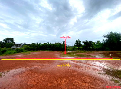 ขายที่ดิน : ที่ดินว่างเปล่า 54 ตร.วา เมืองพัทลุง พัทลุง 810,000