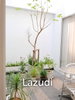 listing thumbnail image 16