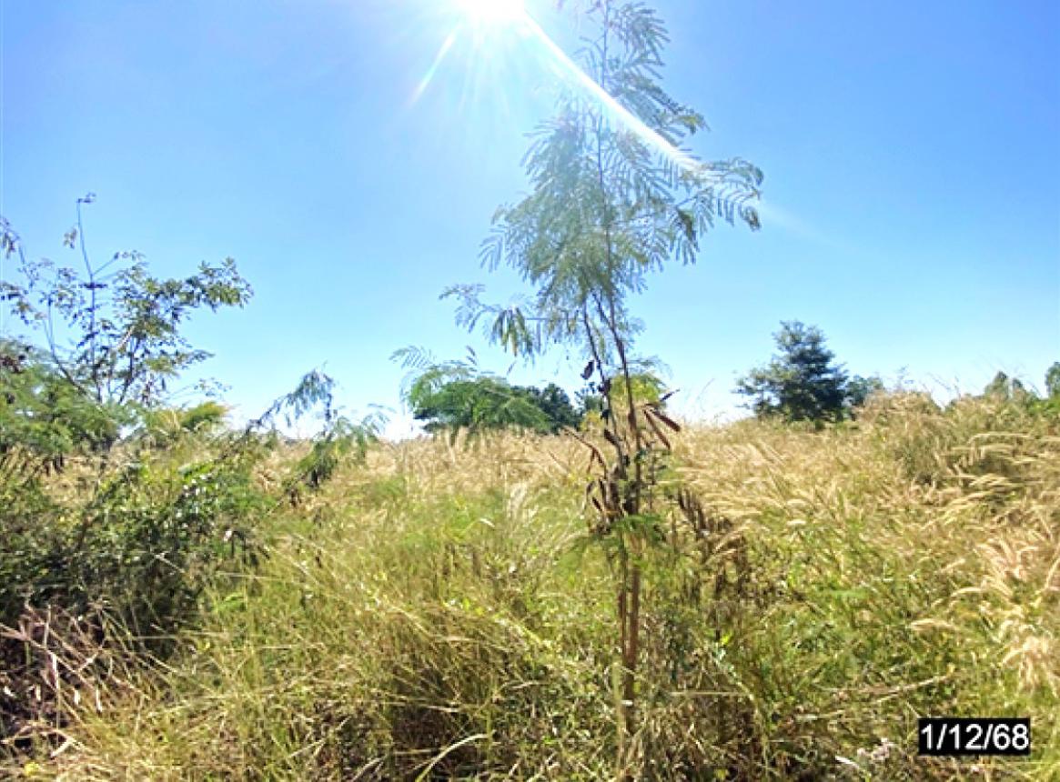 รูป ที่ดินว่างเปล่า 2838 ตร.วา น้ำพอง ขอนแก่น 2.8M - รูปที่ 15/19