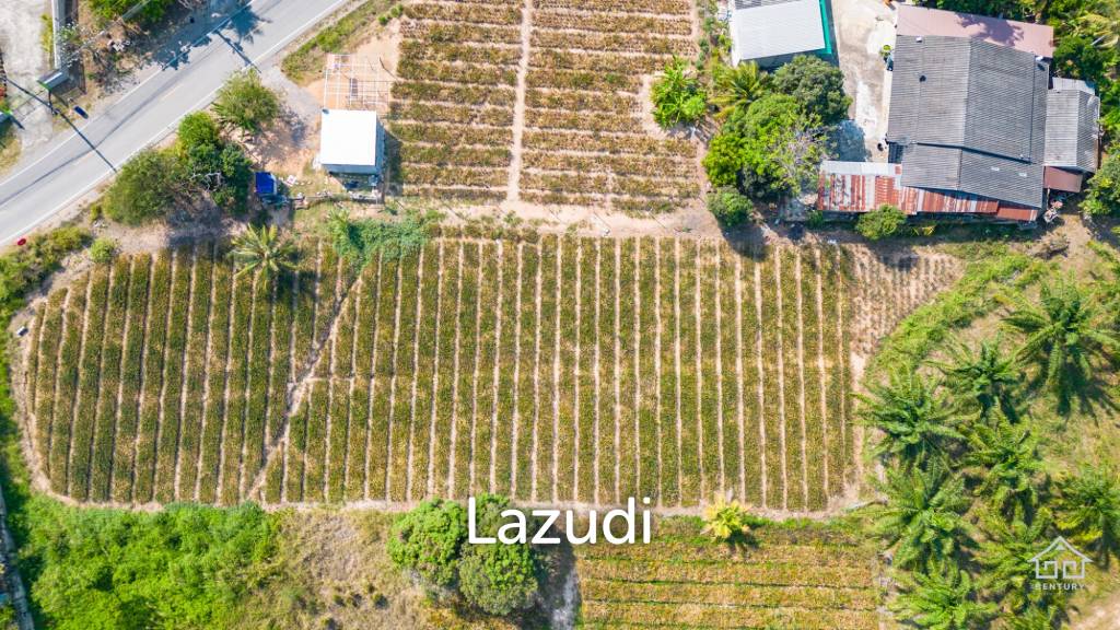 รูป 2 Rai land divided in 4  plots - รูปที่ 2/7