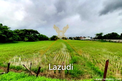 Land for sale Chiag Rai Rajabhat University : 8-3-0.5 Rai of Land in Baan Du for Sale