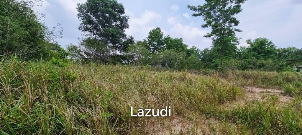 picture 1Rai Land Bangsaray for Sale - 5/7
