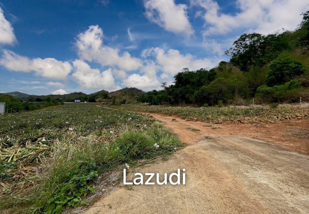 รูป Hillside Land For Sale With Stunning Views - รูปที่ 2/7
