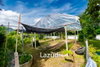 listing thumbnail image 57