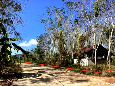 บ้านเดี่ยว หาดใหญ่ สงขลา : บ้านเดี่ยว 11959 ตร.วา หาดใหญ่ สงขลา 8.8M