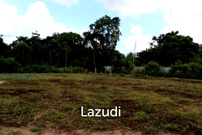ที่ดิน ม.เชียงราย : Beautiful Land For Sale In Chiang Rai