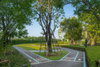 listing thumbnail image 14