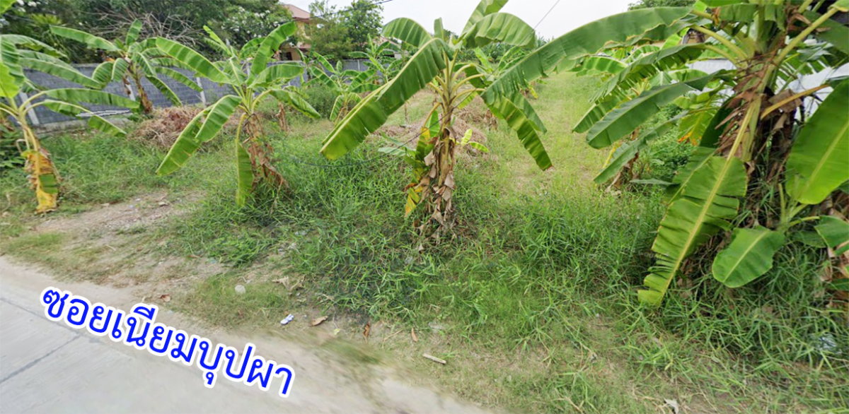 รูป ขายที่เปล่า ถนนพุทธมณฑลสาย1 บางระมาด ตลิ่งชัน กรุงเทพฯ  เนื้อที่  2 - 1 - 28.4 ไร่ ทำเลดี - รูปที่ 6/7