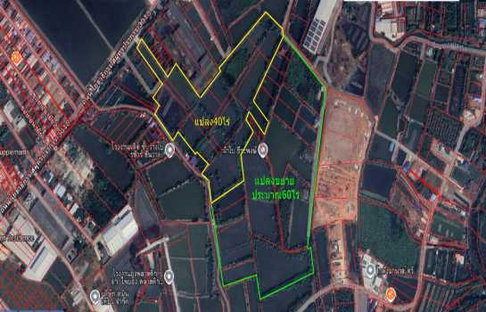 ขายที่ดิน ขนาด 40 ไร่ ผังเมืองสีม่วง ทำเลทองอุตสาหกรรม พระสมุทรเจดีย์ ใกล้โซนโรงงาน อุตสาหกรรม และแหล่งหาแรงงาน ใกล้กรุงเทพสุดๆ