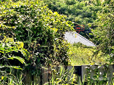 บ้านเดี่ยว เชียงใหม่ : บ้านเดี่ยว 775.9 ตร.วา ดอยสะเก็ด เชียงใหม่ 4.4M