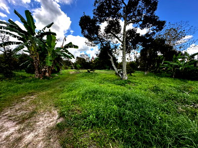 Land for sale IRPC Public Company Limited : Land for Sale  Elevated Plot (No Filling Required) 1-0-67 Rai, Ban Laeng, Rayong Adjacent to Luang Pu Khi Thao Meditation Center