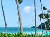 listing thumbnail image 23