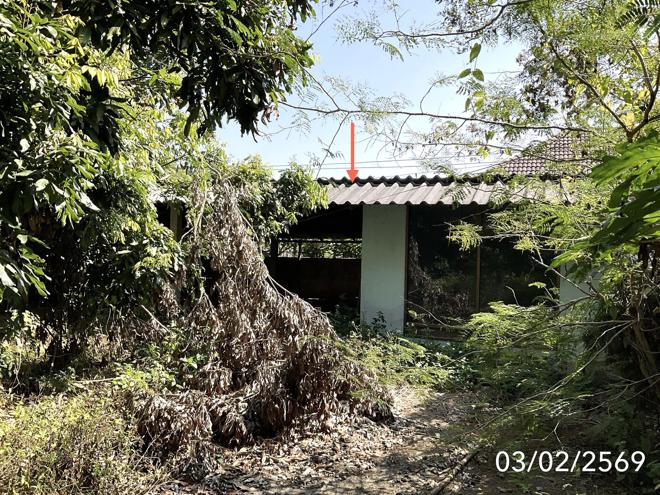 picture HOME 202.7 Sq.w. Muang Phayao Phayao for 1.5M - 17/45