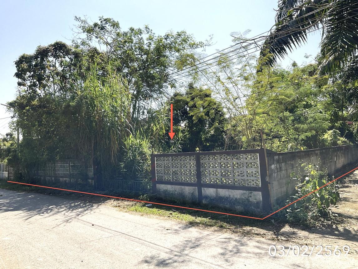 picture HOME 202.7 Sq.w. Muang Phayao Phayao for 1.5M - 41/45