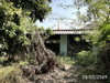 listing thumbnail image 36