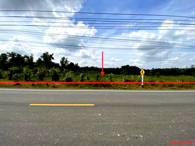 ขายที่ดิน : ที่ดินว่างเปล่า 1396 ตร.วา ควนขนุน พัทลุง 12.6M