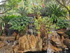 listing thumbnail image 30