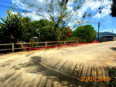 ที่ดิน ตะกั่วป่า พังงา : ที่ดินว่างเปล่า 81.6 ตร.วา ตะกั่วป่า พังงา 805,000