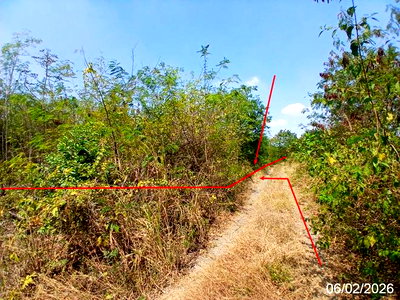 ขายที่ดิน : ที่ดินว่างเปล่า 199 ตร.วา วังแก้ว ปาร์คฮิลล์ รีสอร์ท วังม่วง สระบุรี 424,000