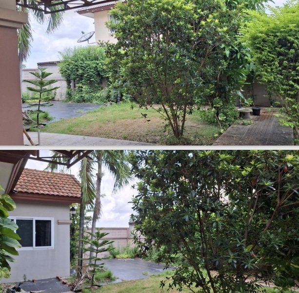 รูป บ้านเดี่ยว 80 ตร.วา ธัญญาภิรมย์ คลอง 10 ธัญบุรี ปทุมธานี 4.3M - รูปที่ 2/6