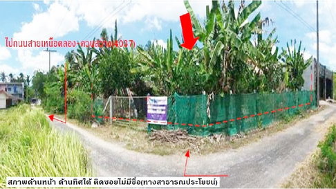 ที่ดินว่างเปล่า 32 ตร.วา เขาพนม-กระบี่ เขาพนม กระบี่ 260,000