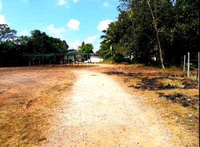 Houses for sale ม.ตาปี : HOME 1692.3 Sq.w. Muang Surat Thani Surat Thani for 16.9M
