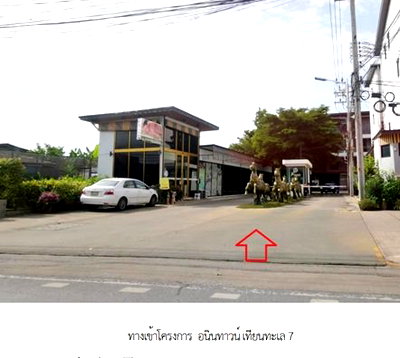 ทาวน์โฮม วิทยาลัยเทคนิคราชสิทธาราม : ทาวน์เฮ้าส์ 19 ตร.วา อนินทาวน์ เทียนทะเล 7 บางขุนเทียน บางขุนเทียน กรุงเทพมหานคร 5.9M