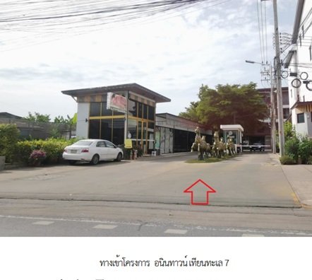 รูป ทาวน์เฮ้าส์ 19 ตร.วา อนินทาวน์ เทียนทะเล 7 บางขุนเทียน บางขุนเทียน กรุงเทพมหานคร 5.9M - รูปที่ 1/11