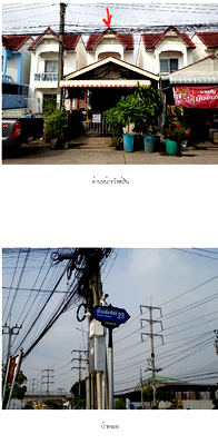 ขายบ้านเดี่ยว : บ้านเดี่ยว 20 ตร.วา พิบูลย์ทรัพย์ 17 หนองจอก หนองจอก กรุงเทพมหานคร 1.4M