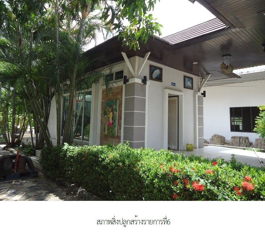 picture OFFICE 2642 Sq.w. Ban Sang Prachinburi for 22.5M - 15/25