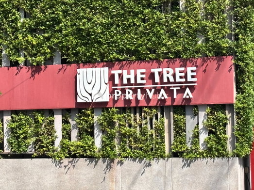 รูป The Tree Privata - รูปที่ 5/8