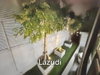 listing thumbnail image 9
