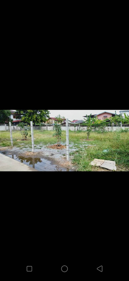 รูป ขายที่ดิน แปลงสวย ซอยรามคำแหน่ง135  200  ตรว  2 โฉนด เหมาะสร้างบ้าน ทำร้านอาหาร คาเฟ่ - รูปที่ 5/7