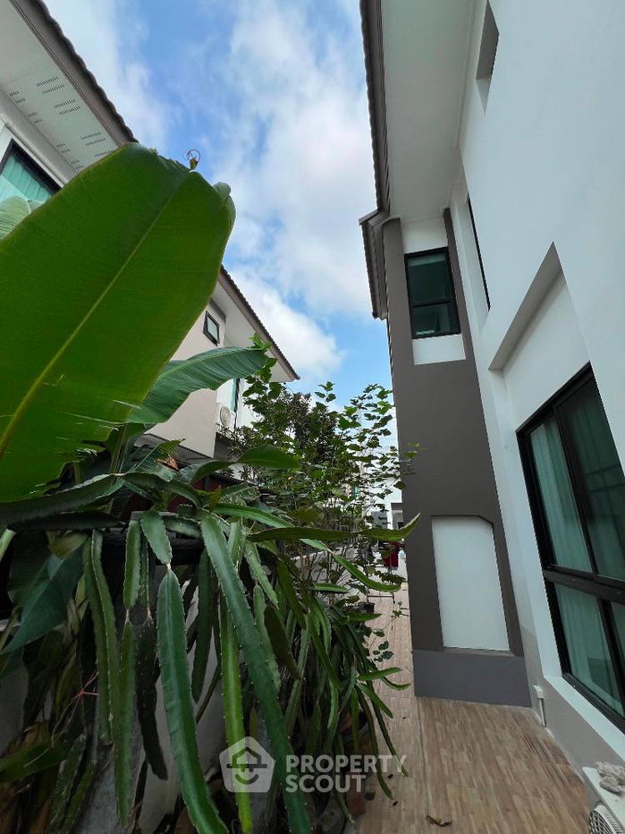 รูป บ้านเดี่ยว 4 ห้องนอน ขาย ในเสม็ด เมืองชลบุรี (เลี้ยงสัตว์ได้) (ID 2055840) - รูปที่ 3/18