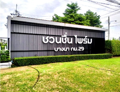 บ้านเดี่ยว นิคมอุตสาหกรรมเอเชีย สุวรรณภูมิ : บ้านเดี่ยว 54 ตร.วา ชวนชื่น ไพร์ม บางนา กม.29 บางบ่อ-สมุทรปราการ บางบ่อ สมุทรปราการ 4.2M