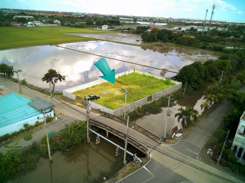 ขายที่ดิน ติดถนน ติดคลอง ซ.วัดลาดปลาดุก
