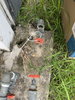 listing thumbnail image 9