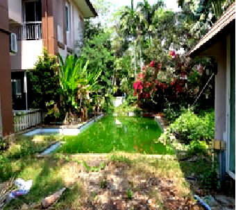 Houses for sale Porto Chino Shopping Mall : HOME 120 Sq.w. Muang Samut Sakhon Samut Sakhon for 6.1M