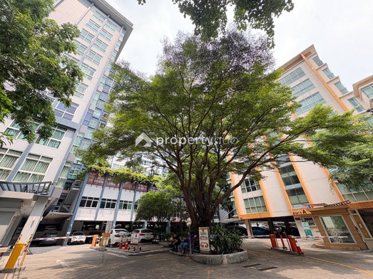 รูป PG Rama IX - รูปที่ 2/8