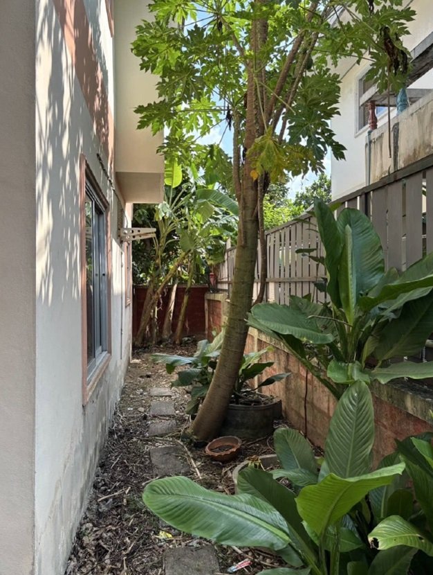 picture HOME 60 Sq.w. Phuttha Mon Thon Nakhon Pathom for 3.5M - 4/16