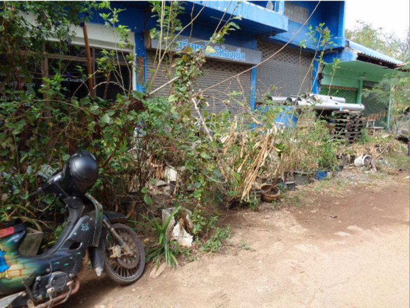 รูป อาคารพาณิชย์ 54.5 ตร.วา วังทองแลนด์ ศรีมหาโพธิ-ปราจีนบุรี ศรีมหาโพธิ ปราจีนบุรี 1.7M - รูปที่ 4/14