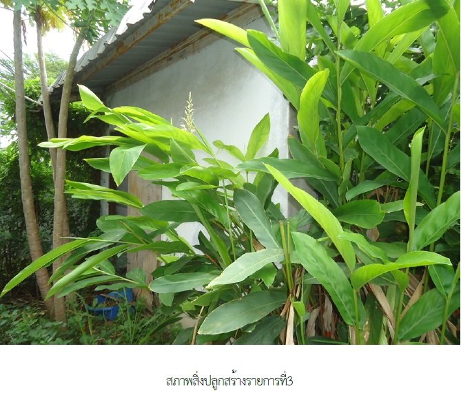 picture OFFICE 2642 Sq.w. Ban Sang Prachinburi for 22.5M - 7/25