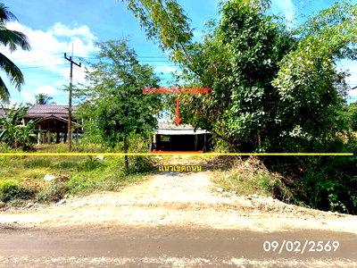 Houses for sale : HOME 31 Sq.w. Na Thawi Songkhla for 1.4M